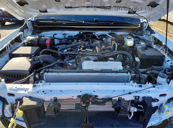 3TMLB5JN5SM176153 2025 TOYOTA TACOMA White Вид задньої частини салону