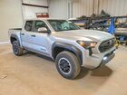 2024 Toyota Tacoma Trd Off-road Silver vin: 3TMLB5JN8RM024877