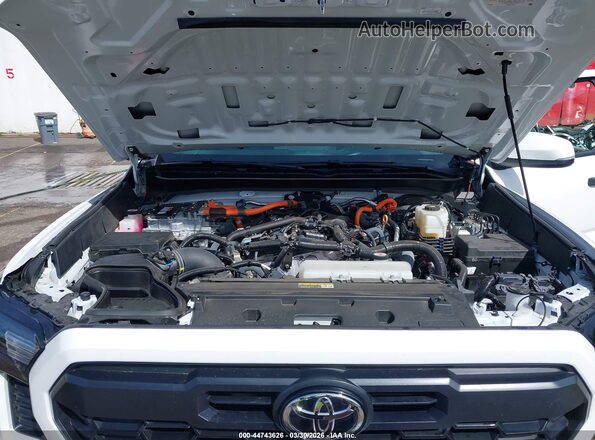 3TYLC5LN0RT013967 2024 TOYOTA TACOMA HYBRID White Rear view