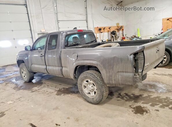 3TYSX5EN2NT016098 2022 TOYOTA TACOMA Gray უკანა მარცხენა