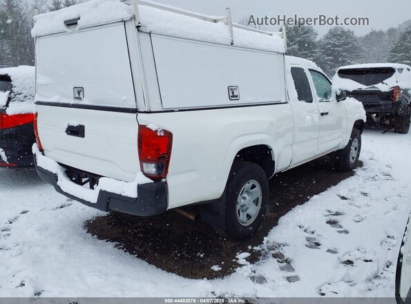 3TYSX5EN4MT003819 2021 TOYOTA TACOMA White Задня права чверть