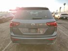 2019 Volkswagen Tiguan S Gray vin: 3VV1B7AX9KM080323
