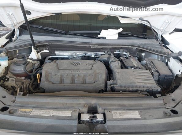 3VV2B7AX5KM049400 2019 VOLKSWAGEN TIGUAN Белый Вид сзади