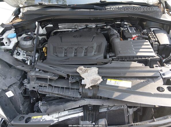 3VV2B7AX7MM123919 2021 VOLKSWAGEN TIGUAN Белый Вид сзади