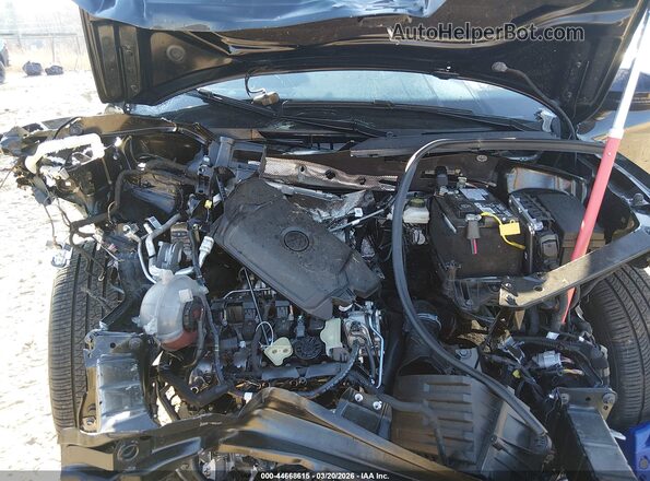 3VVCB7AX0RM201162 2024 VOLKSWAGEN TIGUAN Black Вид ззаду