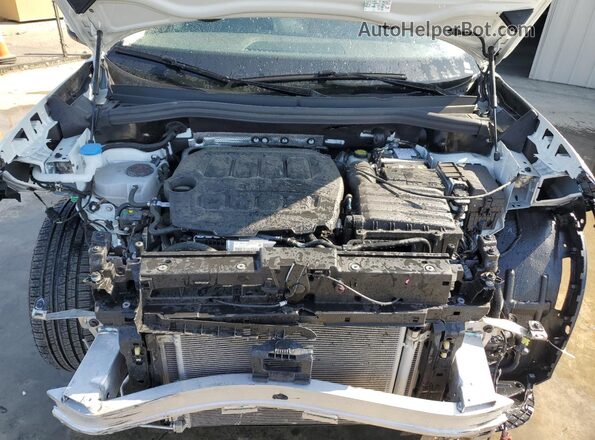 3VVER7RM6TM036207 2026 VOLKSWAGEN TIGUAN White 