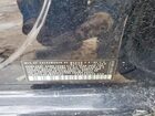 2021 Volkswagen Golf Black vin: 3VWG57AU5MM007844
