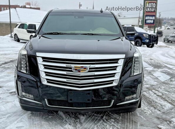1GYS4KKJ7JR156350 2018 CADILLAC ESCALADE Черный Вид сзади