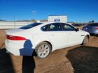 2016 Jaguar Xf Premium Белый vin: SAJBJ4BV6GCY21121
