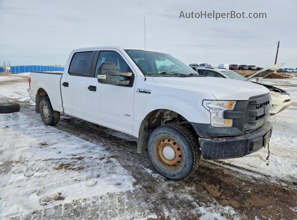 1FTFW1EG0HKD98816 2017 FORD F150 Белый Передняя правая четверть