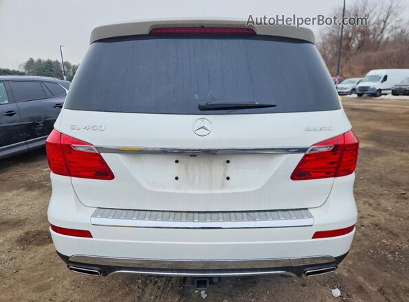 4JGDF6EE3GA620736 2016 MERCEDES-BENZ GL-CLASS Белый Вид сзади