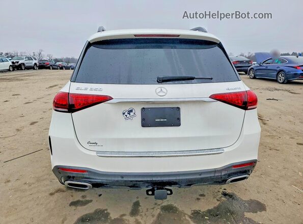 4JGFB4KEXLA212516 2020 MERCEDES-BENZ GLE Белый Вид сзади