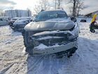 2024 Subaru Outback Wilderness Зеленый vin: 4S4BTGUD4R3218147