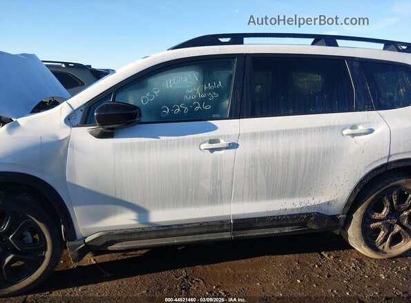 4S4WMAFD8S3411609 2025 SUBARU ASCENT White Вид задньої частини салону