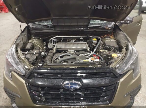 4S4WMAKD8P3401885 2023 SUBARU ASCENT Green Widok z tyłu