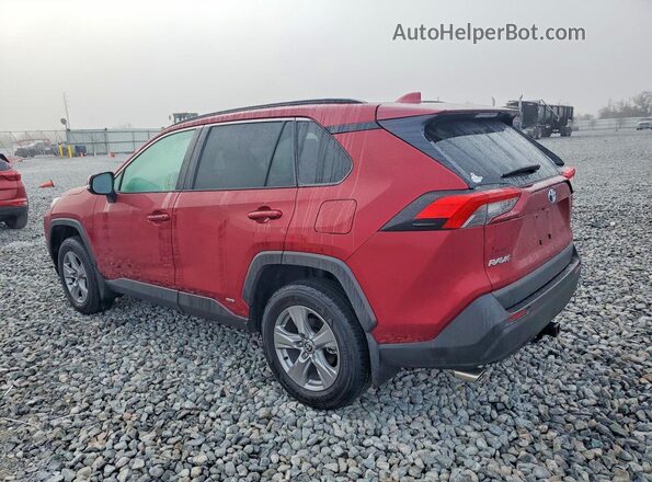 4T3RWRFV4RU156919 2024 TOYOTA RAV4 Красный Задняя левая четверть