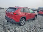 2024 Toyota Rav4 Красный vin: 4T3RWRFV4RU156919