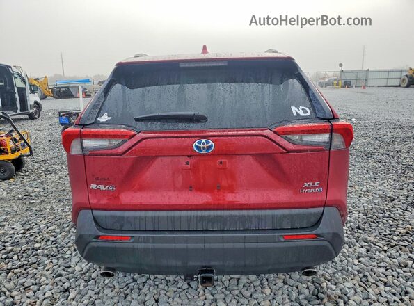 4T3RWRFV4RU156919 2024 TOYOTA RAV4 Красный Вид сзади