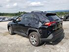 2024 Toyota Rav4 Черный vin: 4T3RWRFV9RU147195