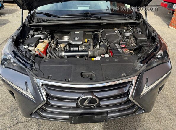 JTJBARBZ0H2112560 2017 LEXUS NX Серый Вид панели приборов