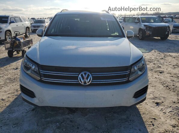 WVGAV7AX3HK054124 2017 VOLKSWAGEN TIGUAN Белый Вид сзади