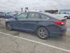 2016 Hyundai Sonata Se Black vin: 5NPE24AF2GH398481