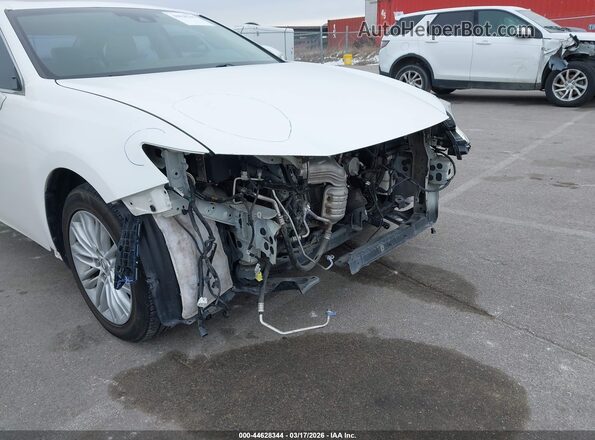 58ABK1GG0HU069176 2017 LEXUS ES 350 Белый Вид спереди