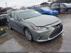 2019 Lexus Es 350 Green vin: 58ABZ1B12KU041126
