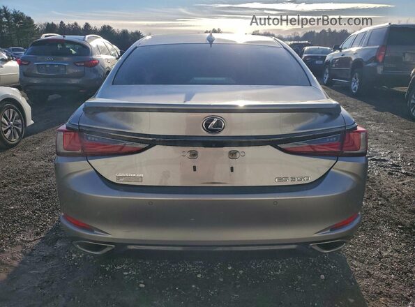 58ABZ1B14KU033576 2019 LEXUS ES Silver Հետևի տեսք