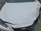 2023 Lexus Es 250 Base Белый vin: 58AD11D13PU010746