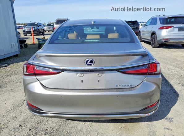 58AD21B11LU008343 2020 LEXUS ES Серый Вид сзади