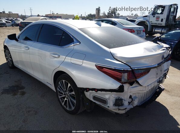 58AD21B12LU006830 2020 LEXUS ES 300H Белый Задняя левая четверть