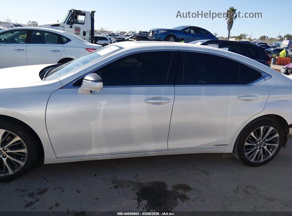58AD21B12LU006830 2020 LEXUS ES 300H Белый 