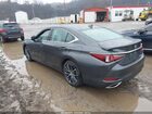2025 Lexus Es 350   Серый vin: 58ADZ1B11SU188871
