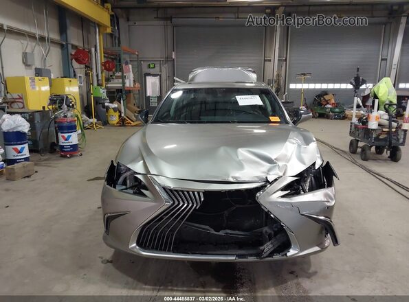58ADZ1B19LU065899 2020 LEXUS ES 350 Серый Вид задней части салона
