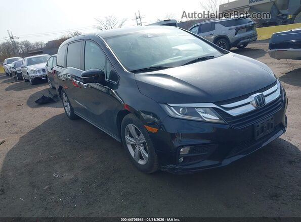 5FNRL6H50LB058259 2020 HONDA ODYSSEY Черный Передняя правая четверть