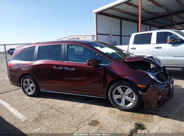 5FNRL6H51KB090894 2019 HONDA ODYSSEY Maroon უკანა სალონის ხედი