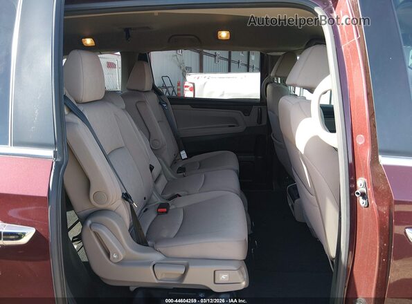5FNRL6H51KB090894 2019 HONDA ODYSSEY Maroon VIN კოდის სტიკერის ხედი