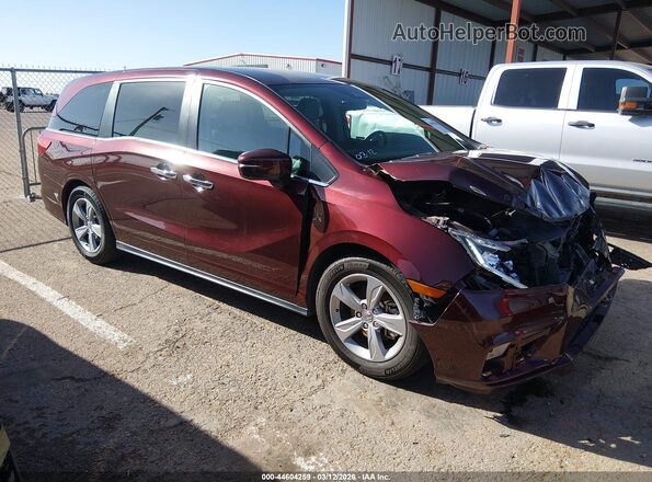 5FNRL6H51KB090894 2019 HONDA ODYSSEY Maroon წინა მარჯვენა