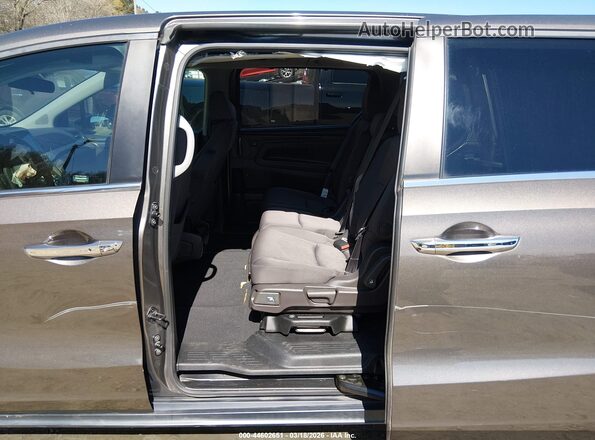 5FNRL6H53LB064203 2020 HONDA ODYSSEY Gray Вид наклейки з VIN-кодом