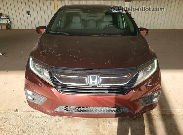 5FNRL6H54KB041009 2019 HONDA ODYSSEY Красный Вид спереди