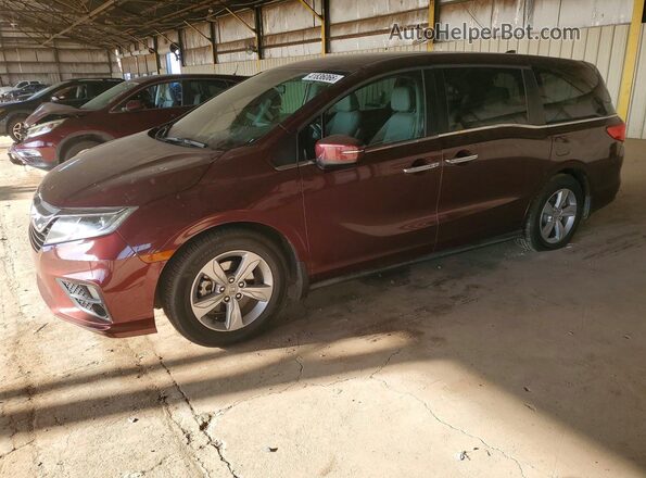 5FNRL6H54KB041009 2019 HONDA ODYSSEY Красный Передняя левая четверть
