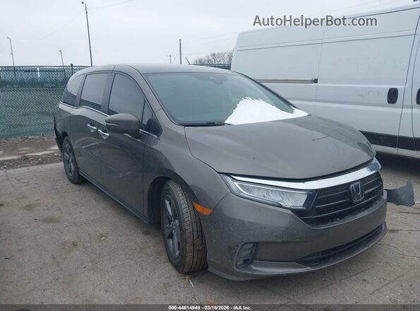 5FNRL6H54MB043717 2021 HONDA ODYSSEY Серый Передняя правая четверть