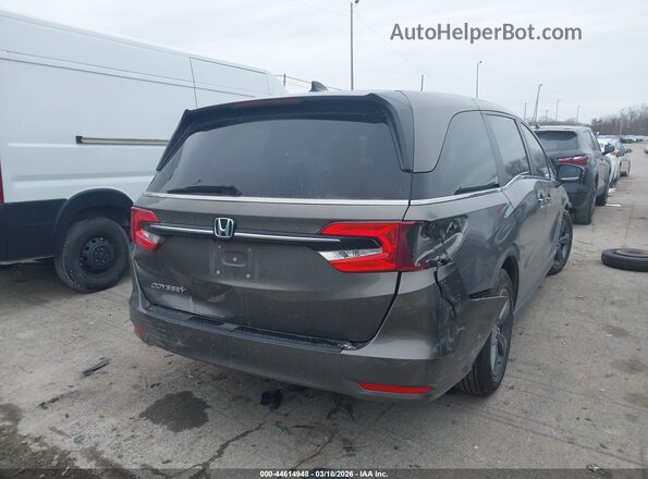 5FNRL6H54MB043717 2021 HONDA ODYSSEY Серый Задняя правая четверть
