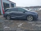 2019 Honda Odyssey Ex Gray vin: 5FNRL6H56KB060726