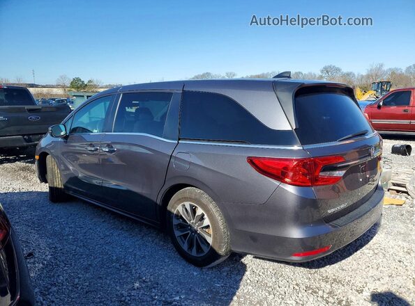 5FNRL6H60PB035563 2023 HONDA ODYSSEY Серый Задняя левая четверть