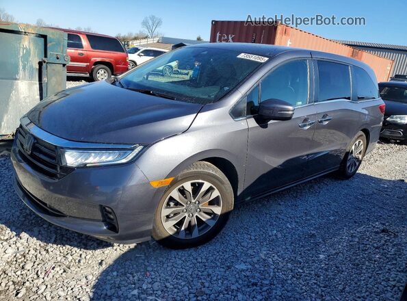 5FNRL6H60PB035563 2023 HONDA ODYSSEY Серый Передняя левая четверть