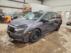 2023 Honda Odyssey Exl Gray vin: 5FNRL6H64PB503326