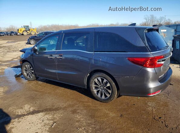 5FNRL6H64RB011981 2024 HONDA ODYSSEY Gray Задня ліва чверть