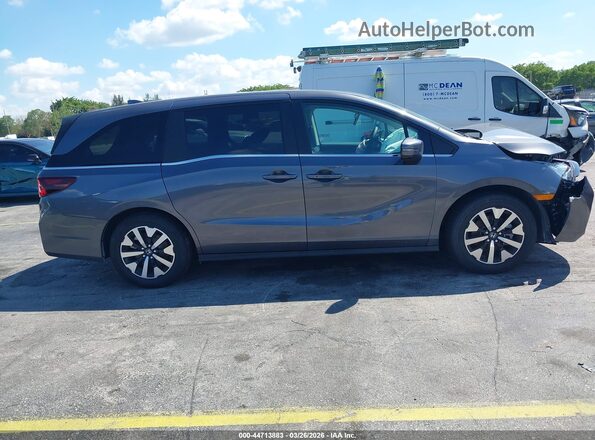 5FNRL6H64TB027282 2026 HONDA ODYSSEY Серый Вид задней части салона